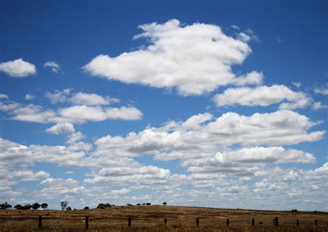 Fichier:Cumulus humilis clouds.jpg — Wikipédia
