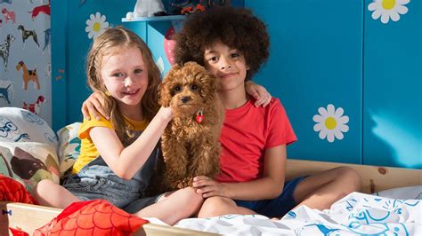 Waffle The Wonder Dog : ABC iview