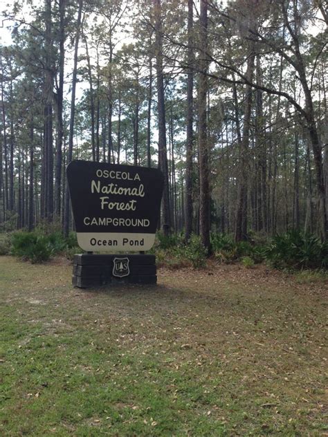 Osceola National Forest Ocean Pond Campground | Osceola national forest ...