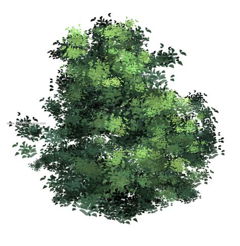 Photoshop Tree Plan Brushes Free Download / Plant Vector Pack - Download Free Vectors, Clipart ...