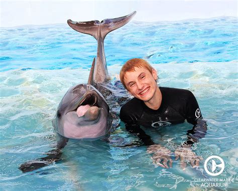 Real Pictures Of Winter The Dolphin