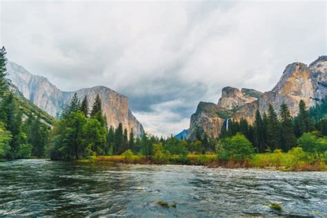 6 Best Yosemite National Park Bus Tours - Values Bus Tour