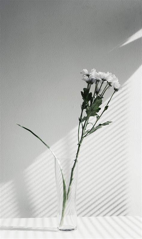 Details more than 83 minimalist aesthetic flower wallpaper latest - in.coedo.com.vn