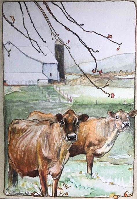 100 paintings #40 Jersey cows by Susie Gordon, Watercolor / Ink, 7 x ...