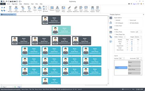 Top 5 Organizational Chart Program 2017 | Org Charting