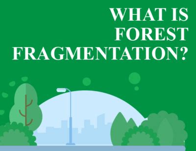 What is Forest Fragmentation? - Dynamic Earth Lesson Plans