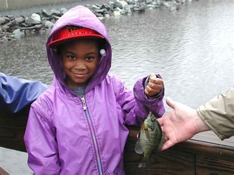 Free picture: young boy, fishing