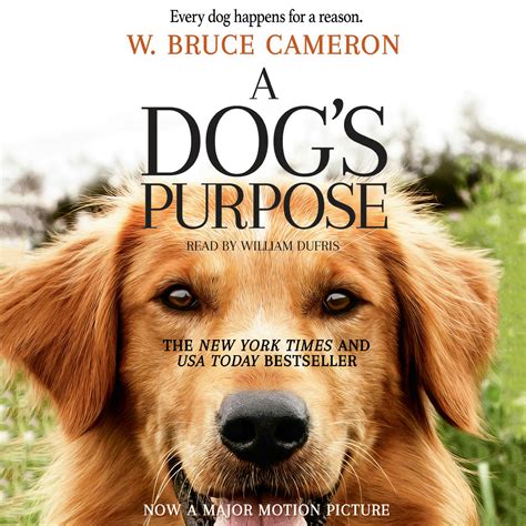 A Dog's Purpose