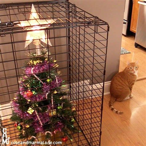 Christmas with cats in 2020 | Cat proofing, Cat proof christmas tree ...