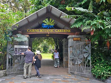 Cairns Botanic Gardens - All the Information You Need...