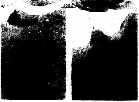 Figure 1 from The effects of lesions to the fornix and dorsomedial ...