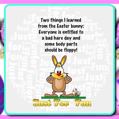 Easter Funny... | Easter quotes funny, Easter humor, Happy easter quotes