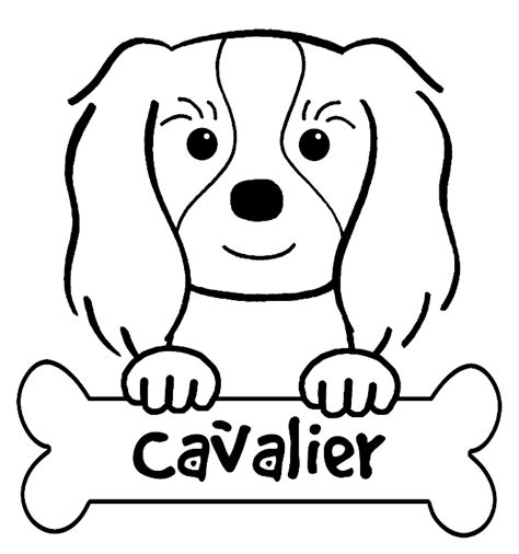 Download King Charles Spaniel coloring for free - Designlooter 2020 👨‍🎨