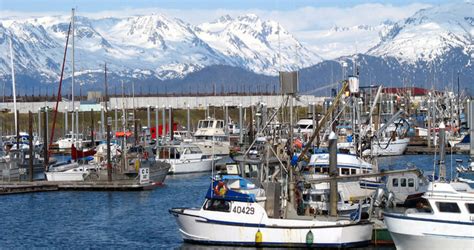 25 Best Things to Do in Homer, Alaska