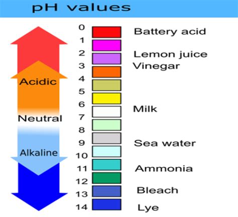 What is lemon pH level? - Ask the nutritionist