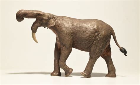 Deinotherium (Prehistoric Elephant Kin) Non Dinosaur Eofauna Woolly Mammoth | eBay