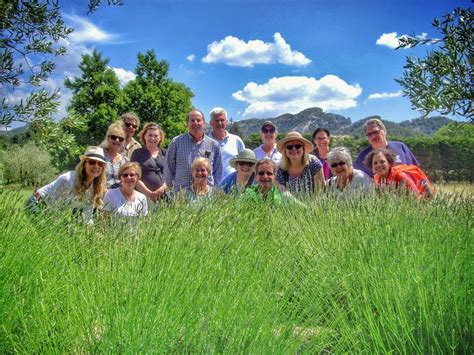 Provence Lavender Tours