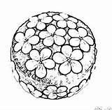 The Daily Pincushion  Pin cushions Coloring Books Book Images sketch template