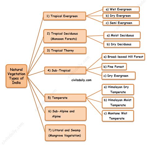 Natural Vegetation and Wildlife: Part 2 | Tropical Evergreen, Tropical Deciduous and Tropical ...