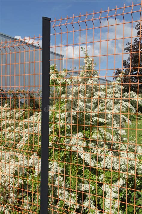 Garden Fence and Gate in Rigid Wire Mesh Panels Stock Image - Image of construction, mesh: 281765281