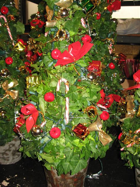 IVY CHRISTMAS TREE Christmas Wreaths, Christmas Decorations, Christmas Tree, Holiday Decor, Ivy ...