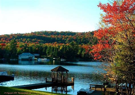 Big Moose Lake | Moose lake, Adirondacks, Lake