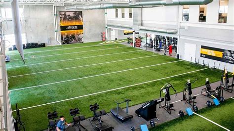 How to Disinfect Indoor Artificial Turf