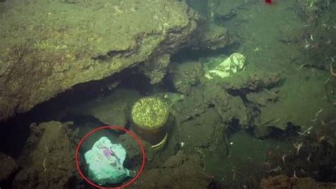 Man-made horrors lurk at the bottom of the Mariana Trench, the deepest part of the ocean - NZ Herald