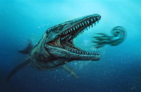 Mosasaurus Pictures & Facts - The Dinosaur Database