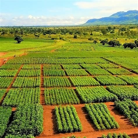 globalEDGE Blog: Brazil's Agricultural Industry >> globalEDGE: Your ...