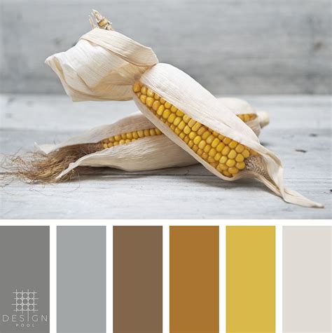 Maize Color Palette | Pool colors, Color palette, Design