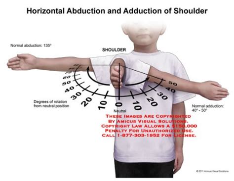 [해부학수업] 견관절의 움직임(2) - Horizontal Adduction & Abduction / External & Internal Rotation : 네이버 블로그