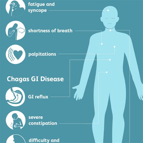 Chagas disease - causes, symptoms, treatment - Healthy Food Near Me