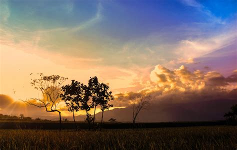 Free stock photo of afternoon, beautiful, field