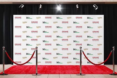 a red carpeted area with two barriers and a white wall behind it that ...