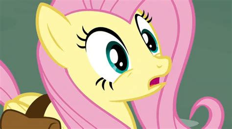 Image - Fluttershy shocked1 S02E19.png | My Little Pony Friendship is ...