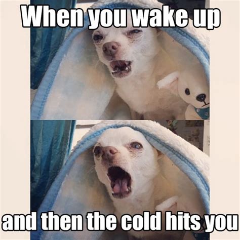 55 Funny Winter Memes That Are Relatable If You Hate Snowstorms