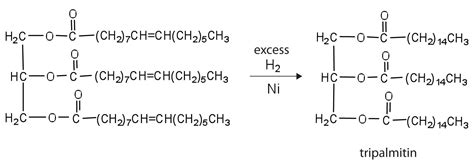 17.2: Fats and Oils - Chemistry LibreTexts