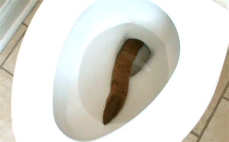 longest poop without breaking. rate my poo : r/ratemypoo