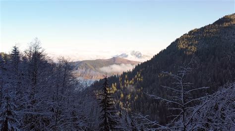 Aerial View Of Forest With Snow Free Stock Video Footage, Royalty-Free ...