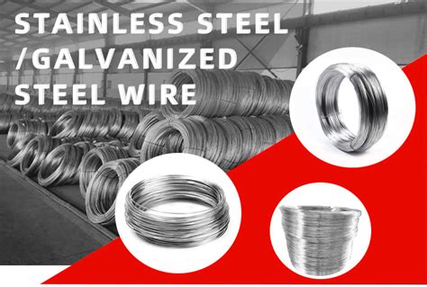 China Wire Steel Supplier 10mm Galvanized Low Carbon Steel 0.3mm Spring ...