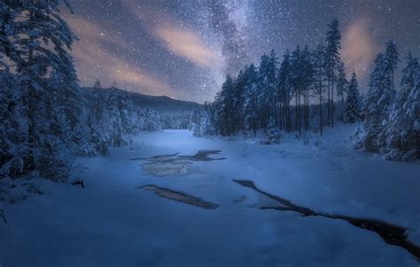 Wallpaper winter, stars, snow, trees, night, nature images for desktop, section природа - download