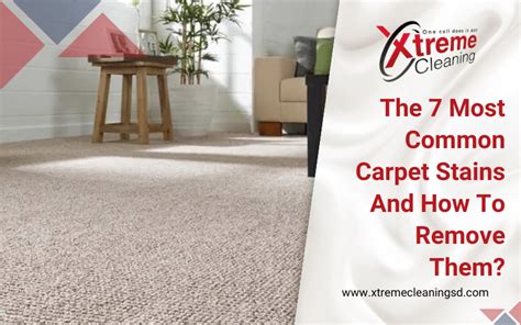 The 7 Most Common Carpet Stains And How To Remove Them?| Xtreme Cleaning