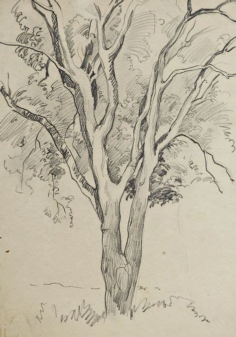 New drawing lapiz paisaje 18 Ideas | Tree drawings pencil, Realistic drawings, Tree drawing