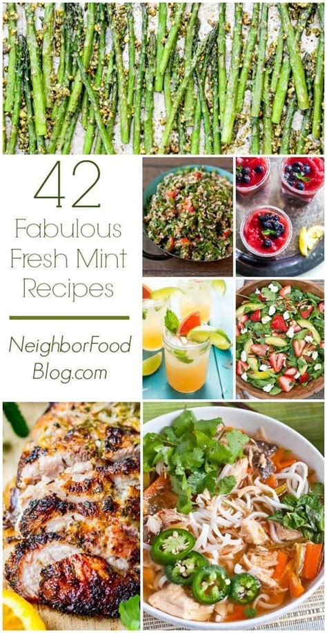 42 Mint Recipes to Make this Summer | Mint recipes, Mint leaves recipe, Mint recipes fresh