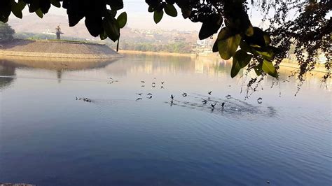 Katraj Lake, Pune: How To Reach, Best Time & Tips