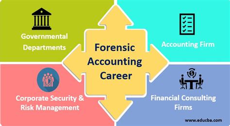 Forensic Accounting Career | Career Path of Forensic Accountants