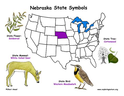 Nebraska Habitats, Mammals, Birds, Amphibians, Reptiles