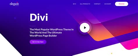 16 Examples of Awesome Websites Built with Divi (2021) - WPKube