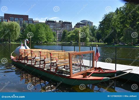 Swan Boats at the Public Garden in Boston, Massachusetts Editorial ...